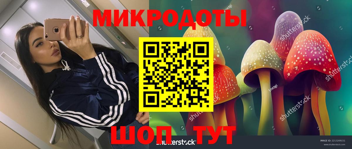 Галлюциногенные грибы ЛСД  Вход с VPN  Галлюциногенные грибы GOLDEN TEACHER  Нерюнгри 